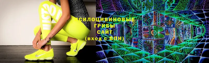 купить  сайты  Кумертау  Галлюциногенные грибы Magic Shrooms 